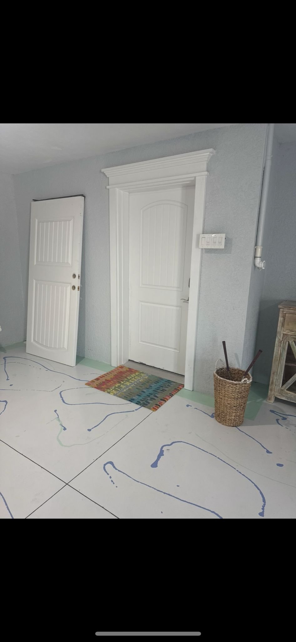 Professional Door Painting Service